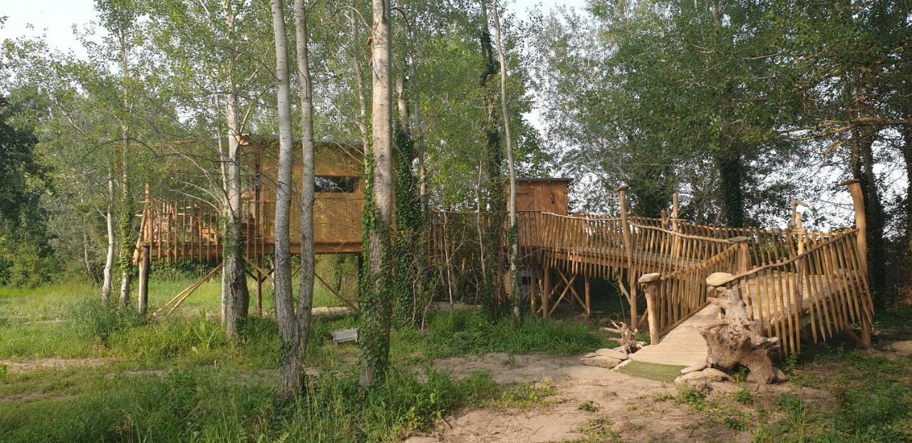 La Cabane Perchee Villelaure エクステリア 写真